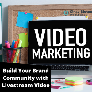 live-stream videos provide real estate agents leads